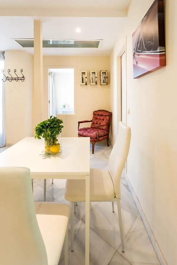 Plaza Nueva Duplex Apartment Seville